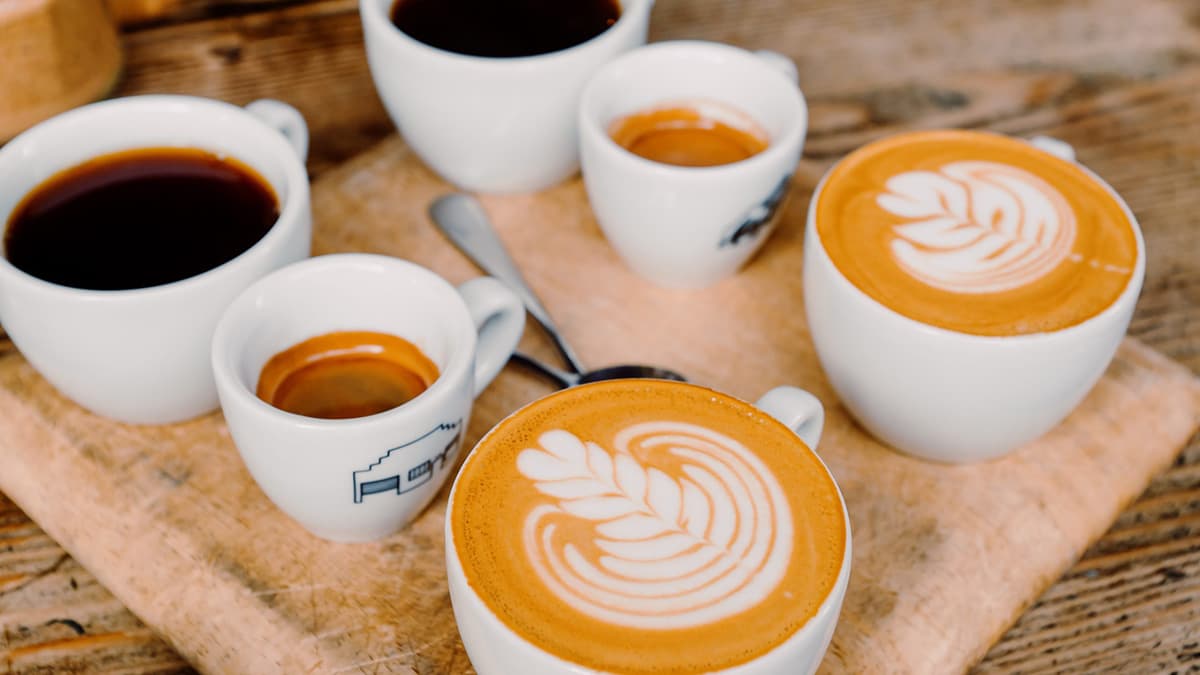 What household appliance would you be? I would be coffee cups! What household appliance would you be? I would be coffee cups